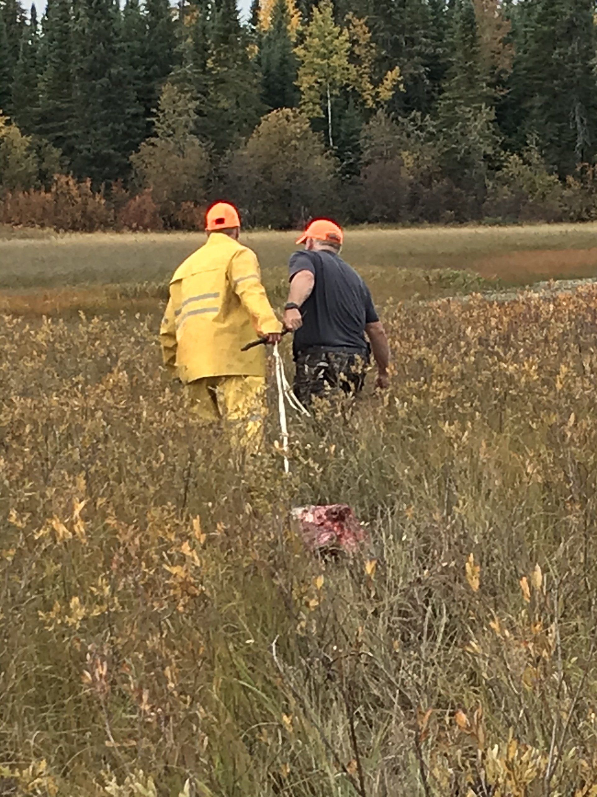 Nakina, Ontario Canada Moose Hunt, Canada Moose Hunting, Guide