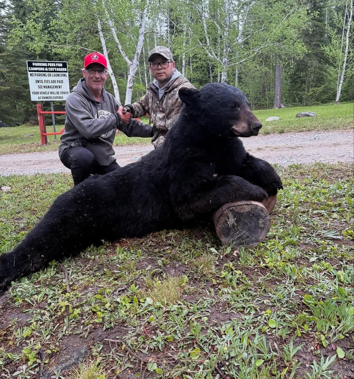 Bear hunting Ontario Canada, Bear hunting outfitter