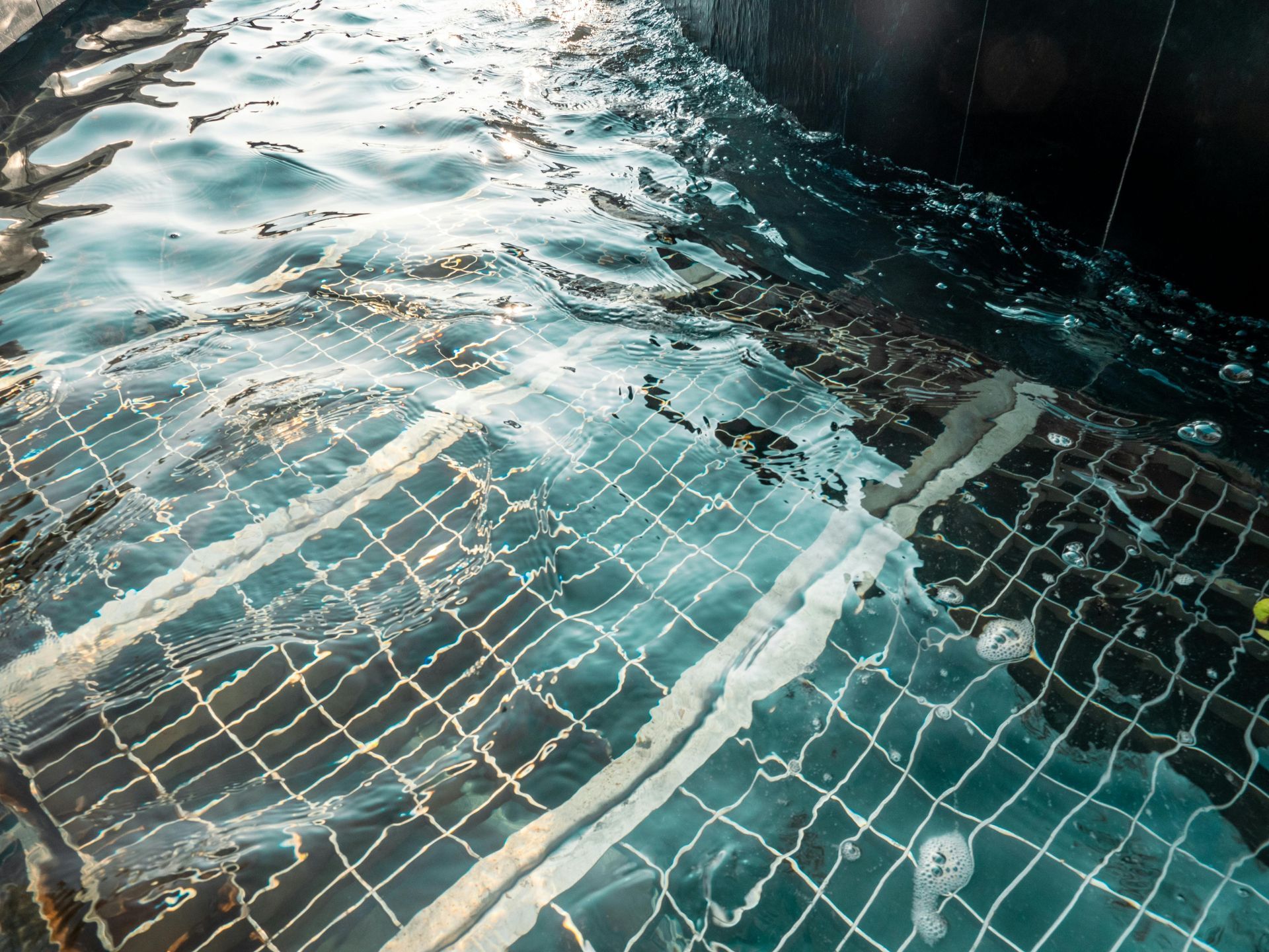 Stainless steel railings elegantly frame the pristine pool, creating a modern and sophisticated contrast.