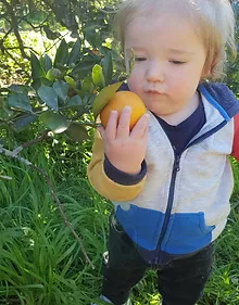 little girl holding a fruit