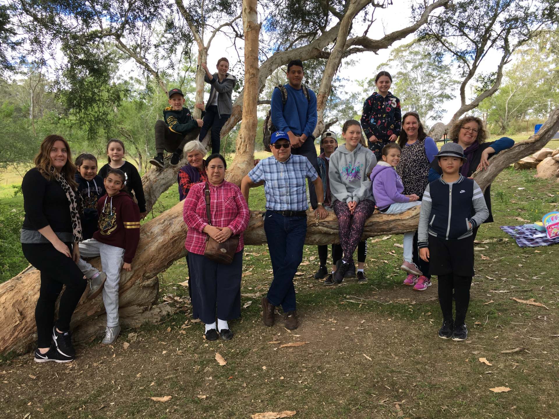 team standing around a tree