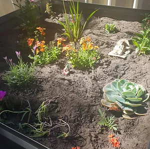 plants at Le PiKassos