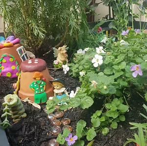 plants at Le PiKassos