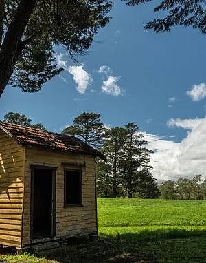 small cottage in a garden