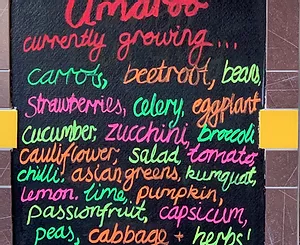 blackboard with quotes written on it