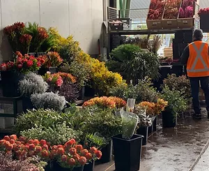 Le PiKassos on the Wall Fairy Village