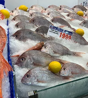 Sydney Fish Market