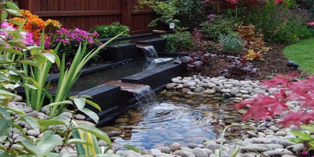 pond image