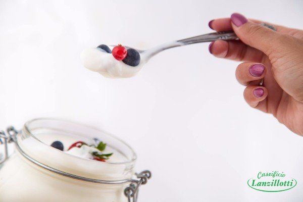 Yogurt artigianale