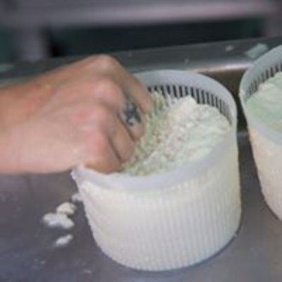 Produzione della ricotta