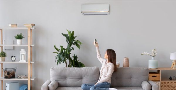 Mini Split System in Living Room