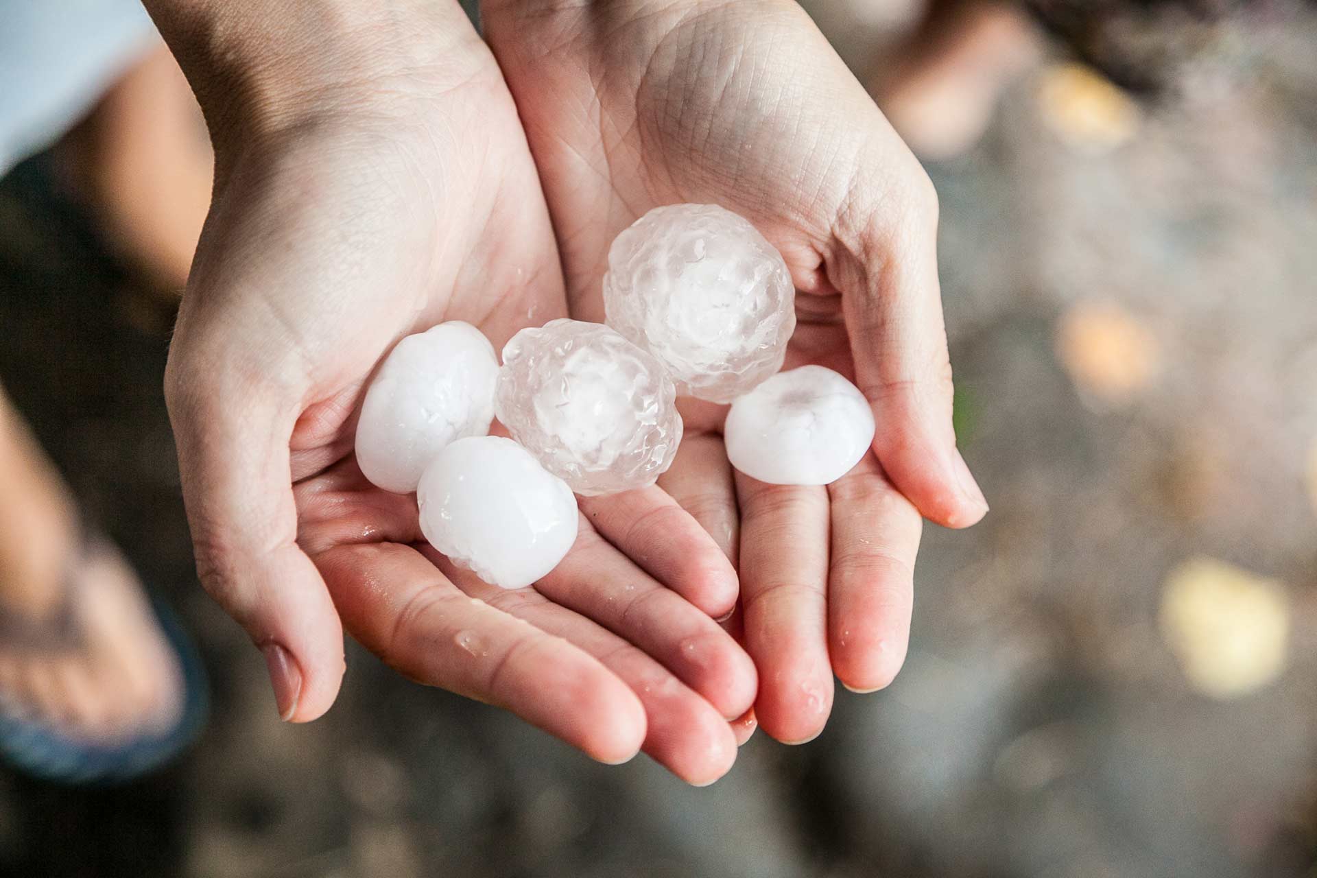 Very-large-hail-in-the-hands