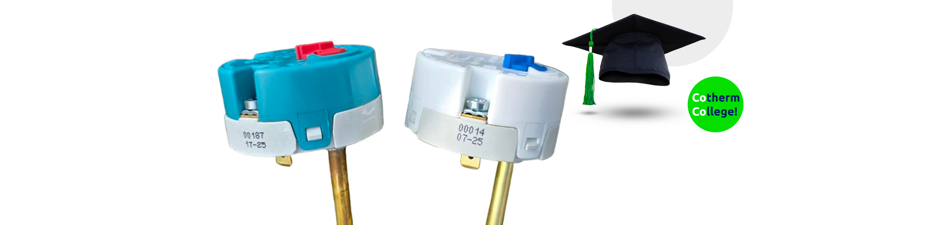 Why are the Cotherm TSE & TSR thermostat terminals marked A & B?