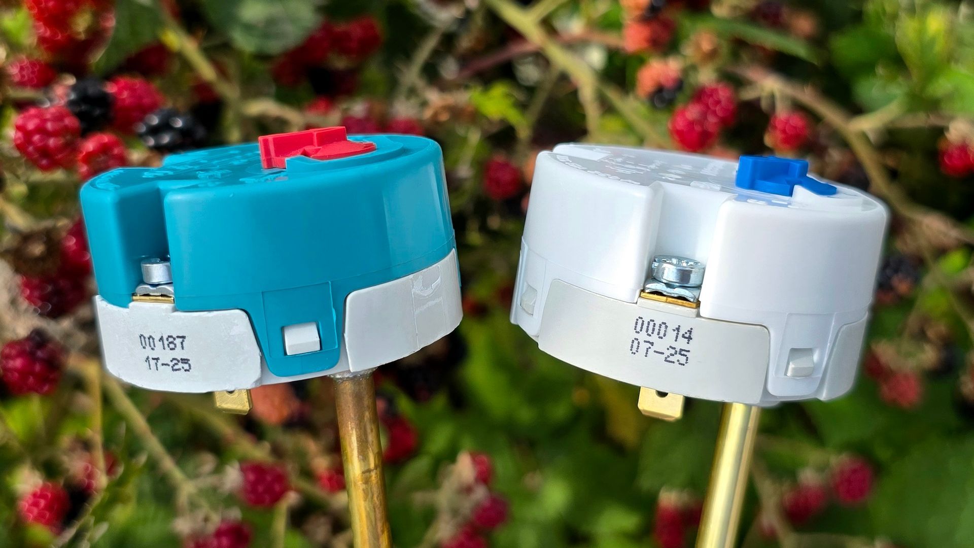 Why are thermostat terminals labelled A and B and not Live and Earth?