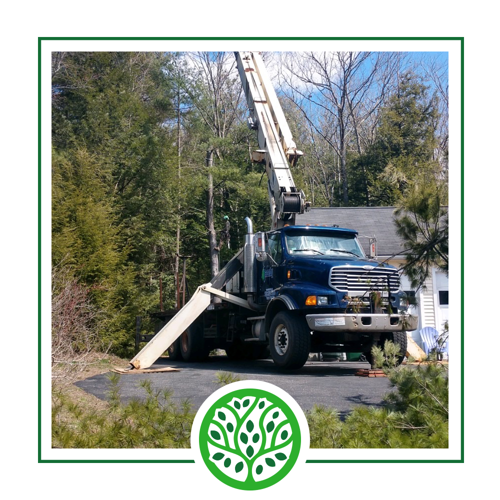 About Us | Jacoby Tree Services - Winchendon, MA