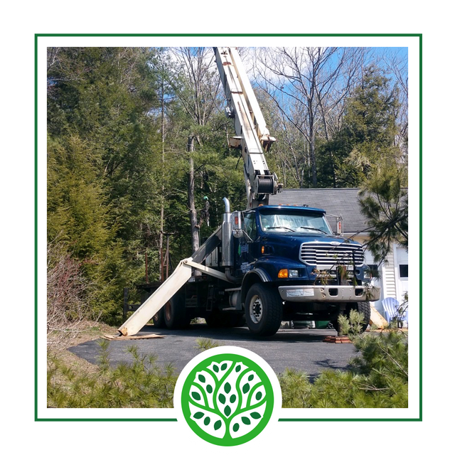 Greensboro Tree Service