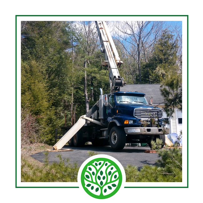 About Us | Jacoby Tree Services - Winchendon, MA