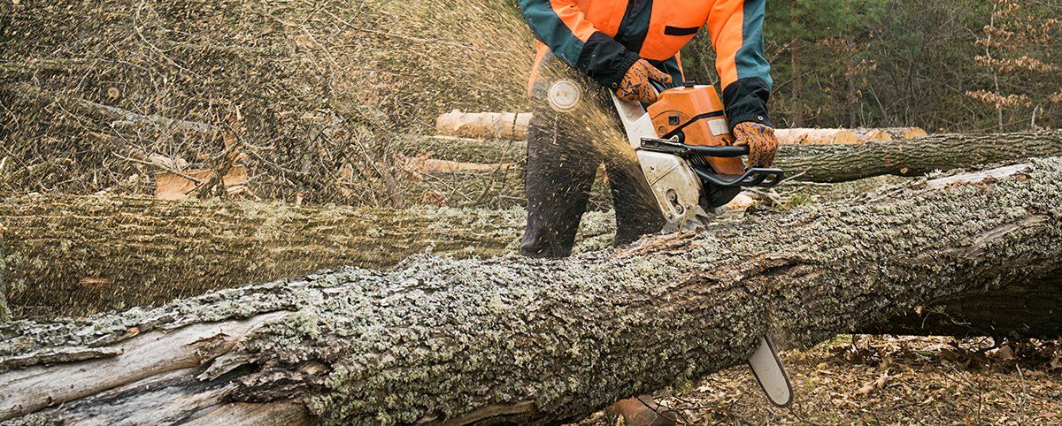 About Us | Jacoby Tree Services - Winchendon, MA