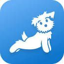 Down Dog Yoga App