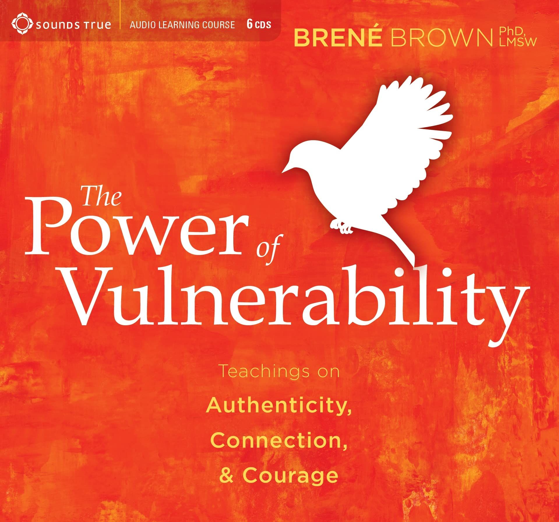 The Power of Vulnerability Audio Book