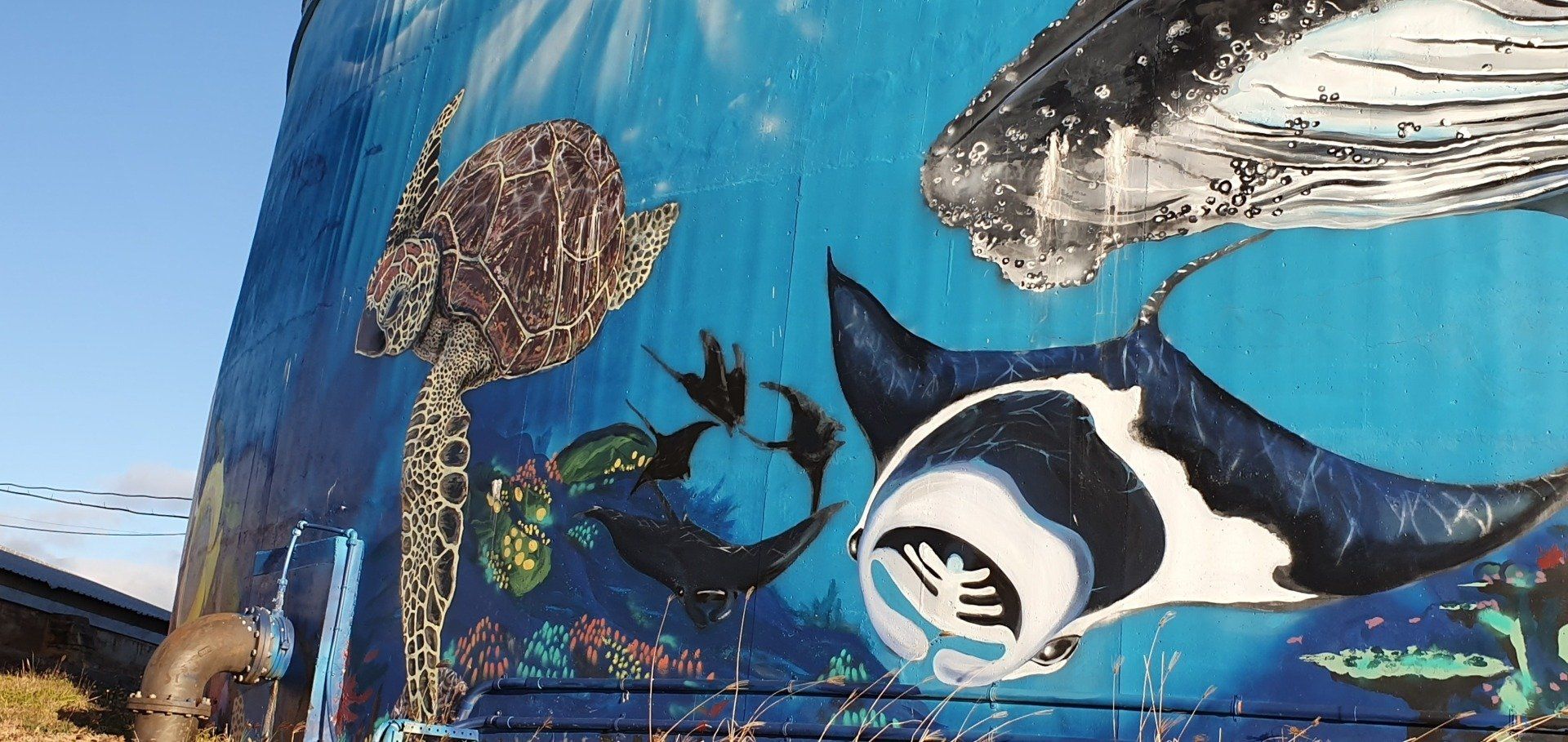 Bowen water tower art