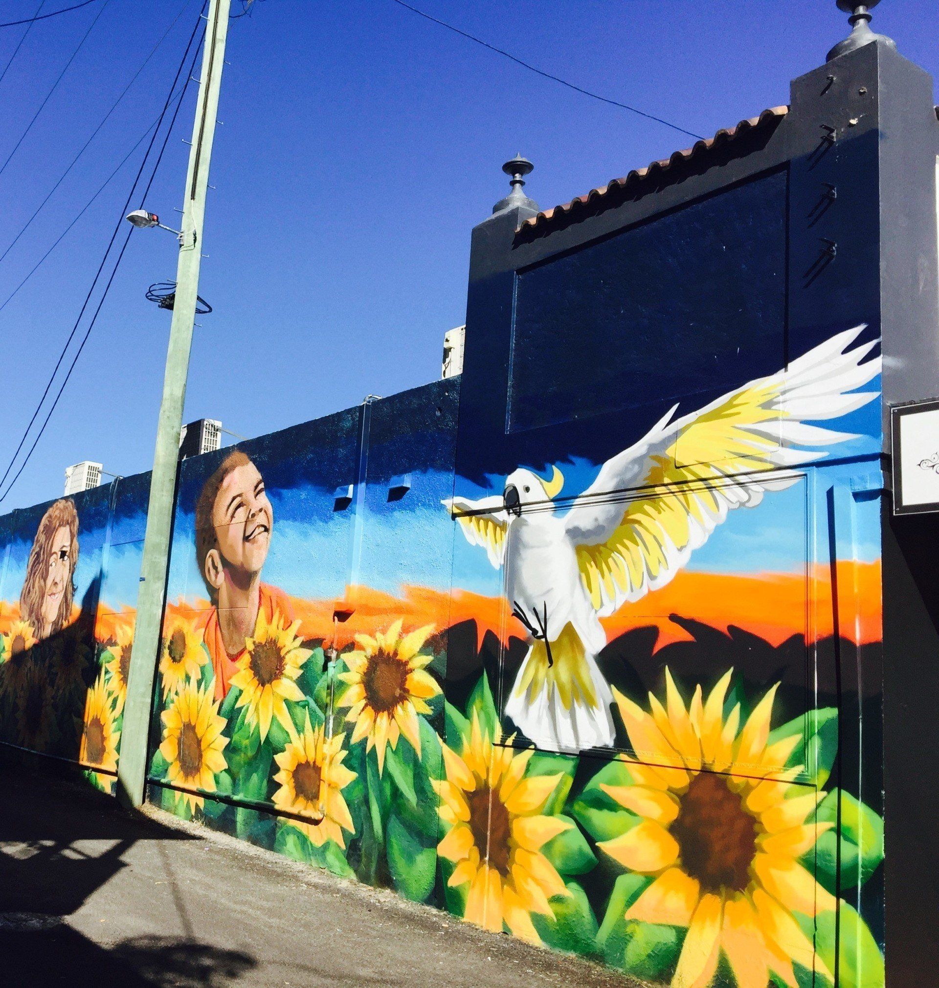 Moree Street Art, Australian Silo Art Trail