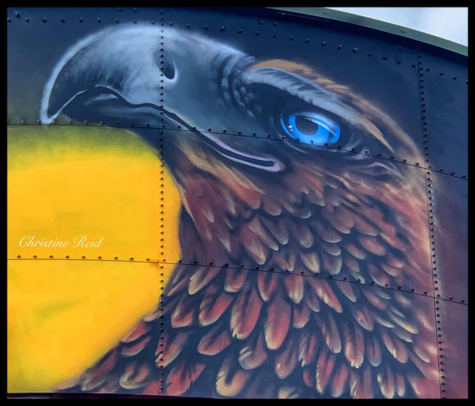 Wilton Water Tank Art, Australian Silo Art Trail, Tharawal, Wollondilly