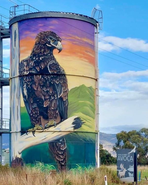 George Town Water Tower Art, Australian Silo Art Trail