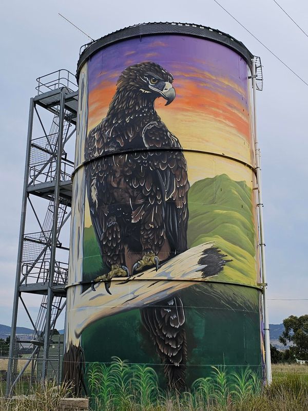 Avoca Water Tank Art, Australian Silo Art Trail