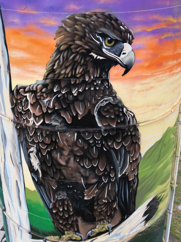 Avoca Water Tank Art, Australian Silo Art Trail