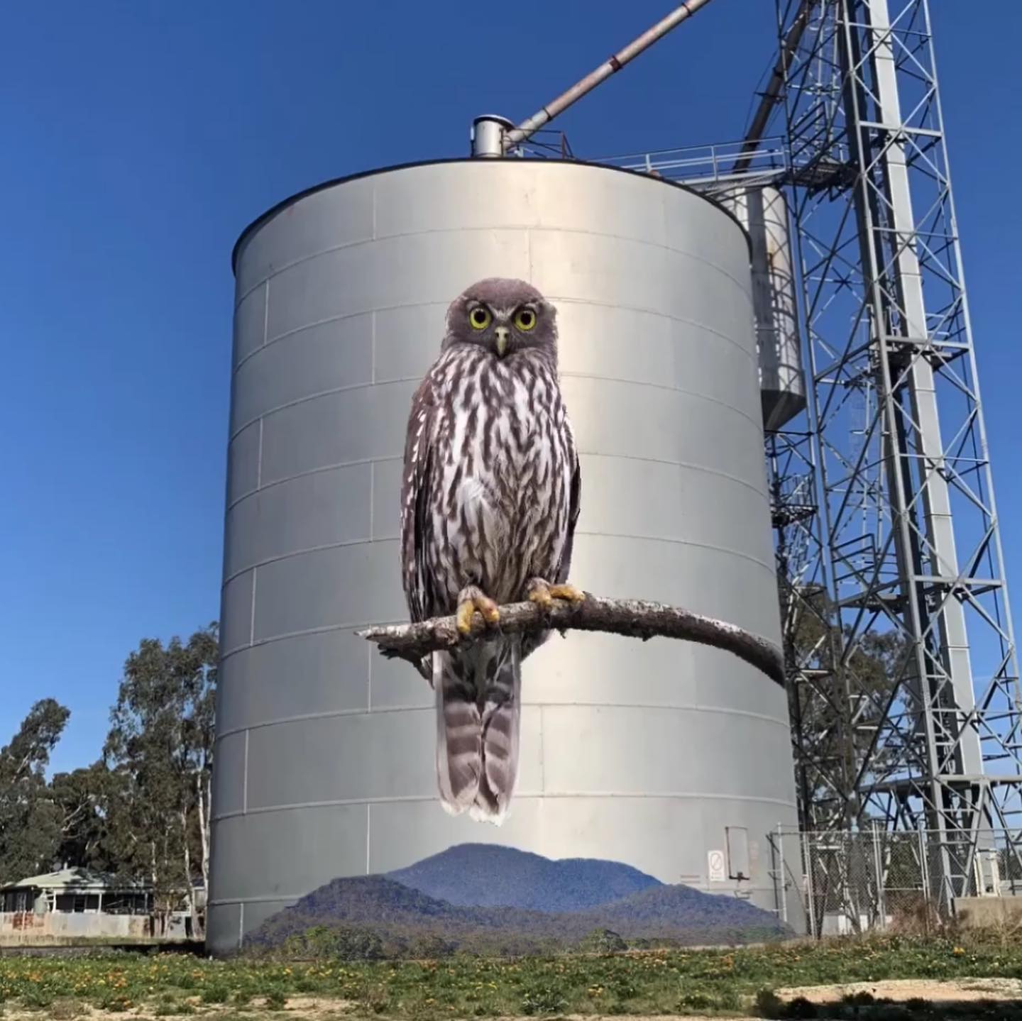 Avoca Silo Art