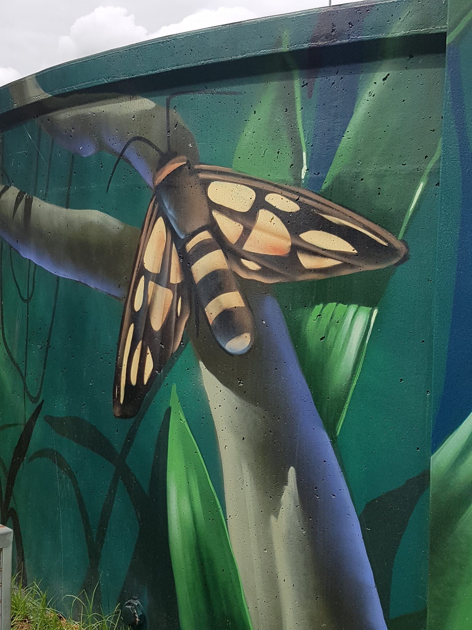 Barden Ridge Water Tank Art, Australian Silo Art Trail