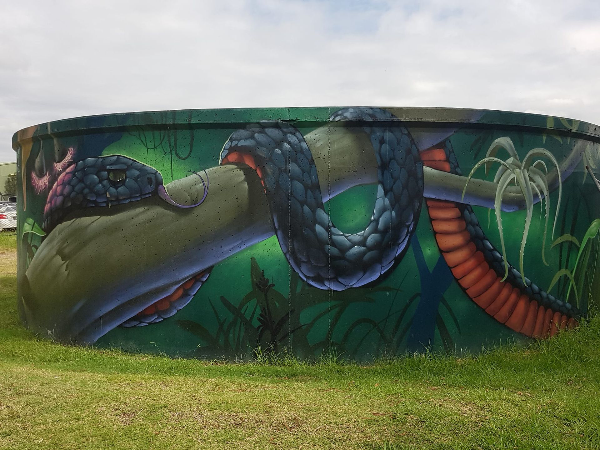 Barden Ridge Water Tank Art, Australian Silo Art Trail