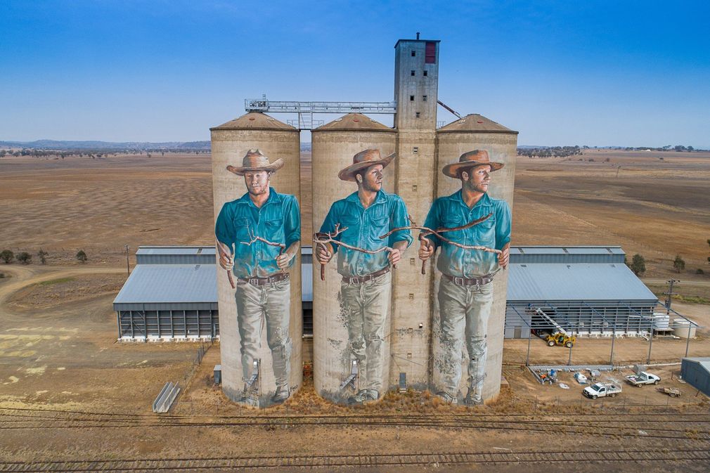 Barraba silo art