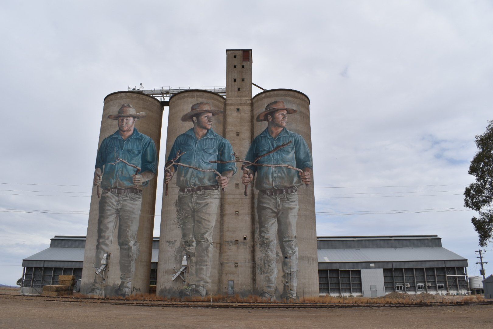 Barraba Silo Art, Australian Silo Art Trail