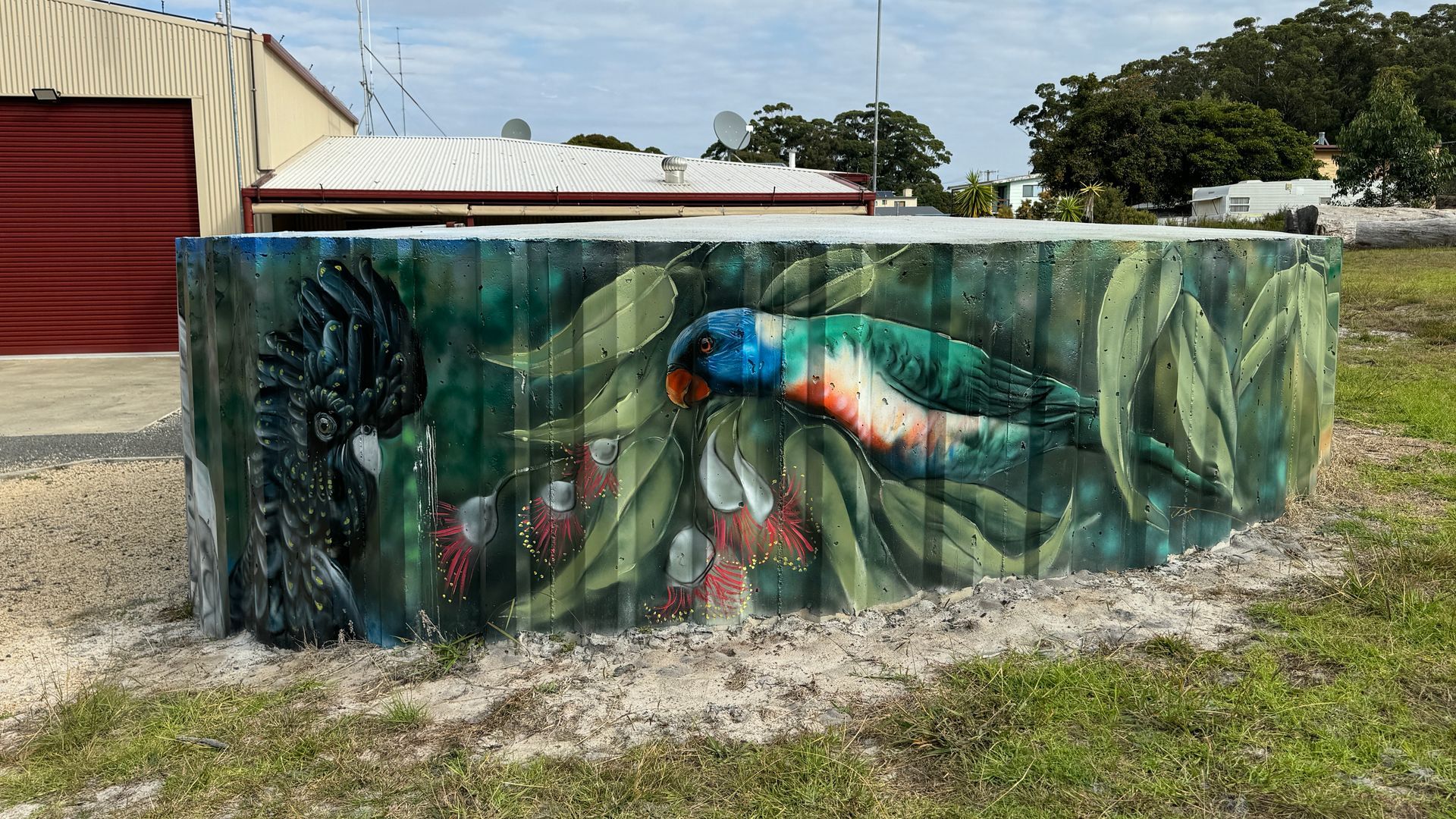 Bemm River, Australian Silo Art Trail, Silo Art, Water Tower Art