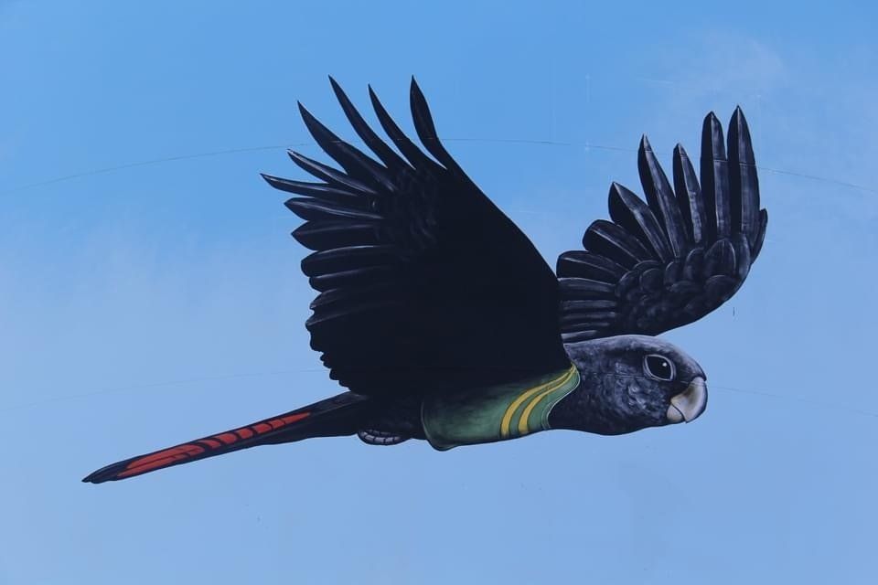 Bourke Water Tower, Australian Silo Art Trail