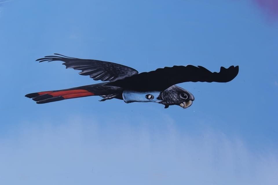 Bourke Water Tower, Australian Silo Art Trail