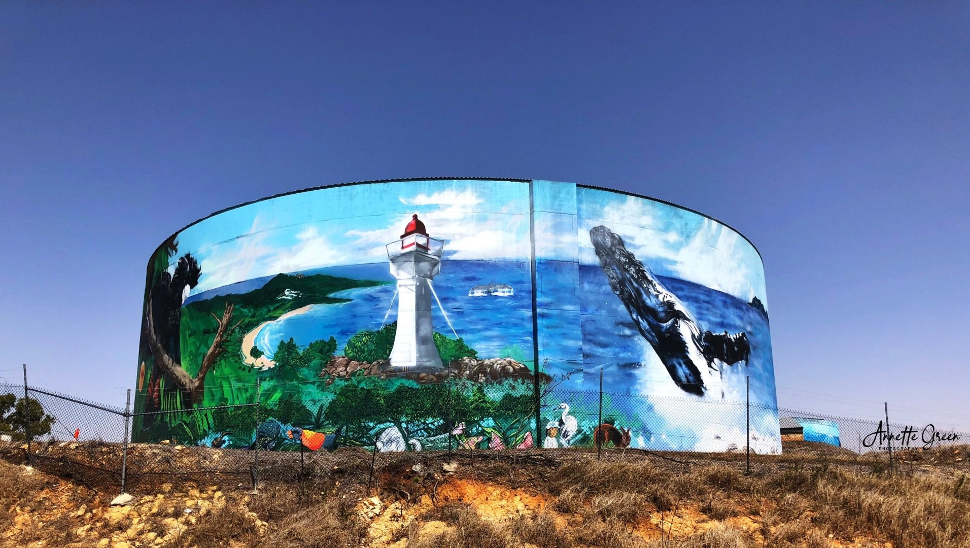 Bowen Water Tank Art, Australian Silo Art Trail