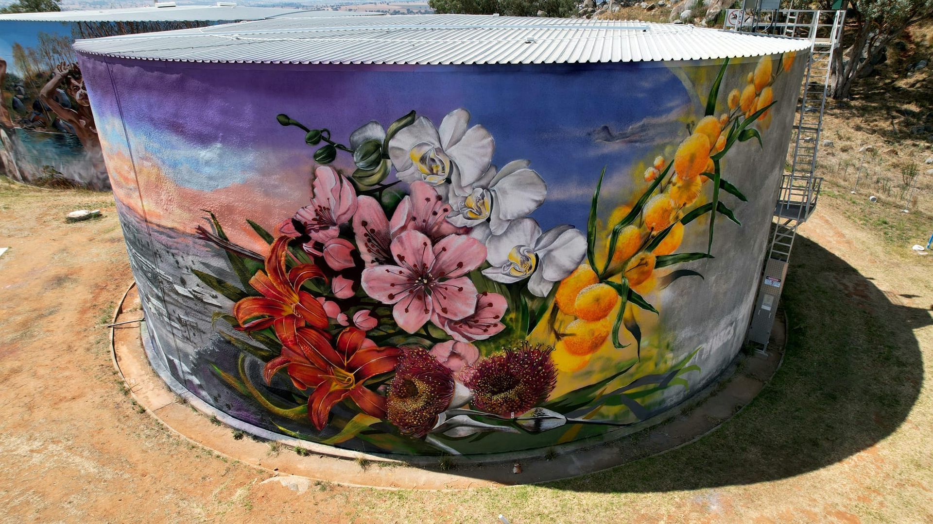 Cowra Water Tank Art, Australian Silo Art Trail
