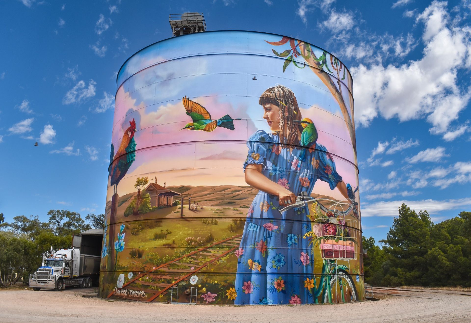 Bute Silo Art,  Australian Silo Art Trail