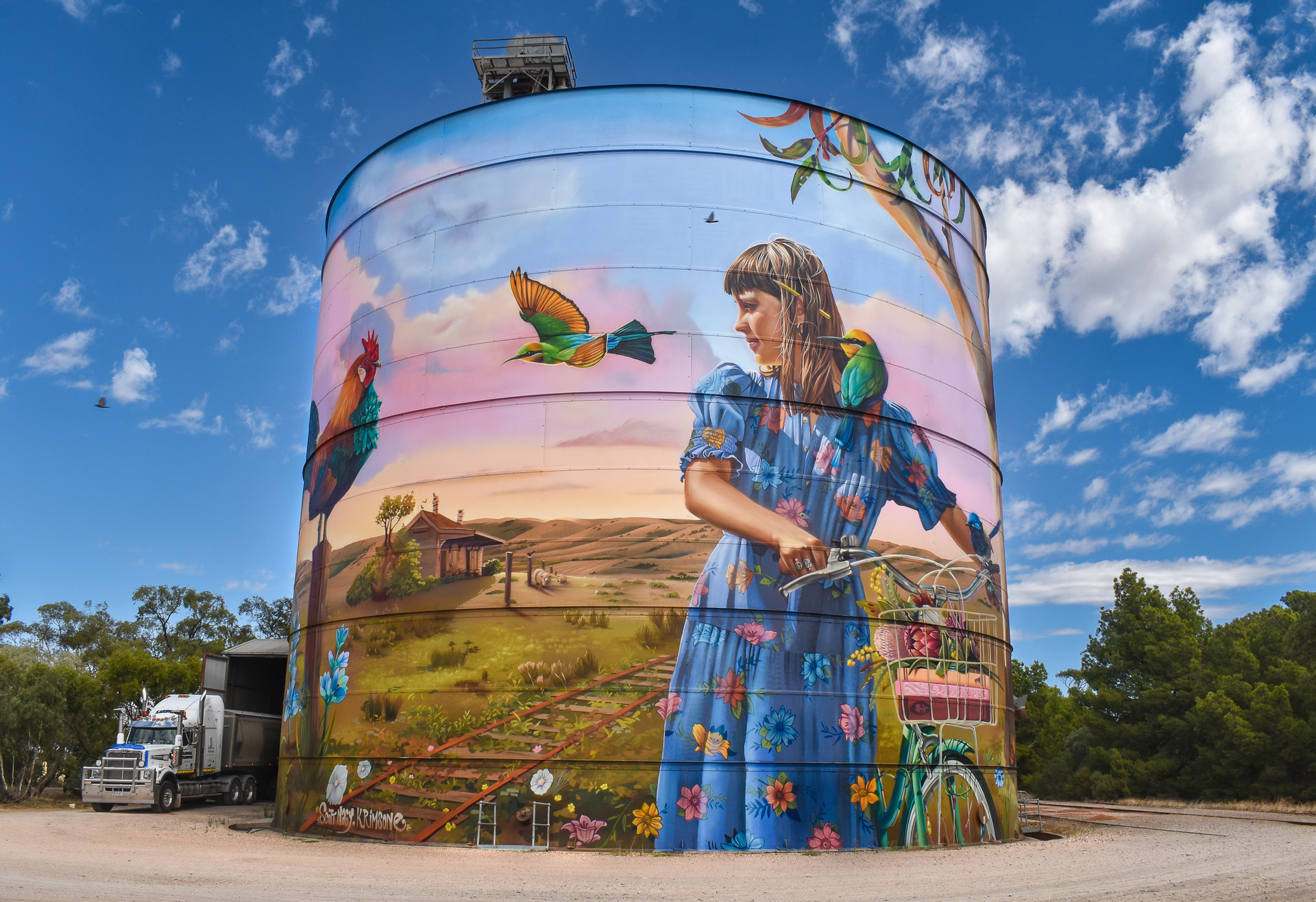 Bute Silo Art, Australian Silo Art Trail