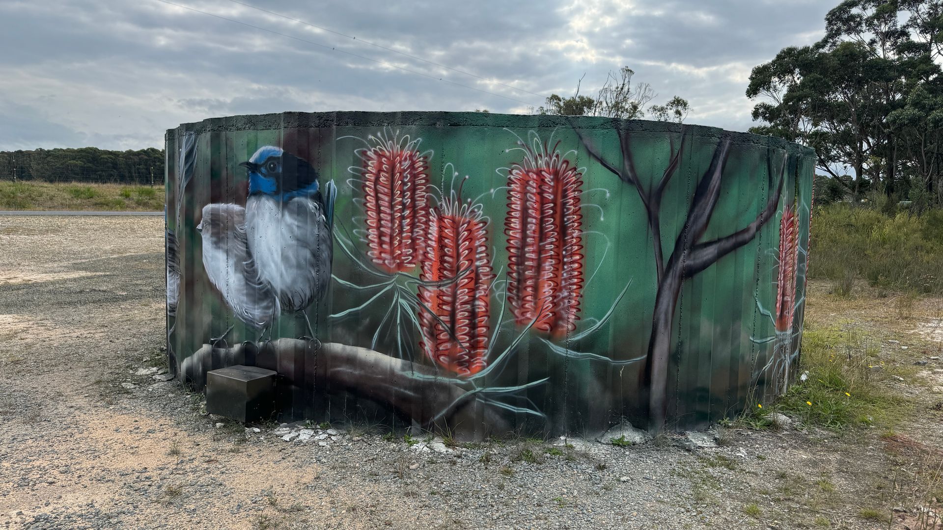 Australian Silo Art Trail, Silo Art, Water Tower Art