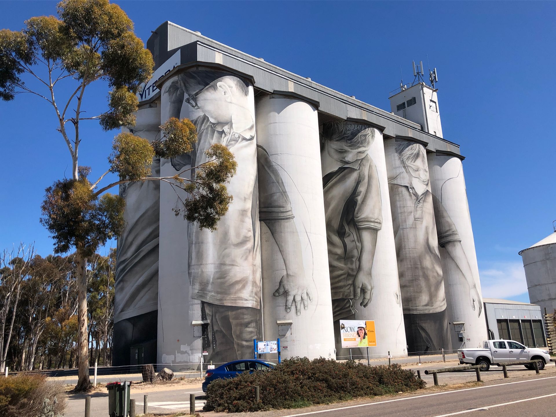 Coonalpyn Silo Art, Australian Silo Art Trail