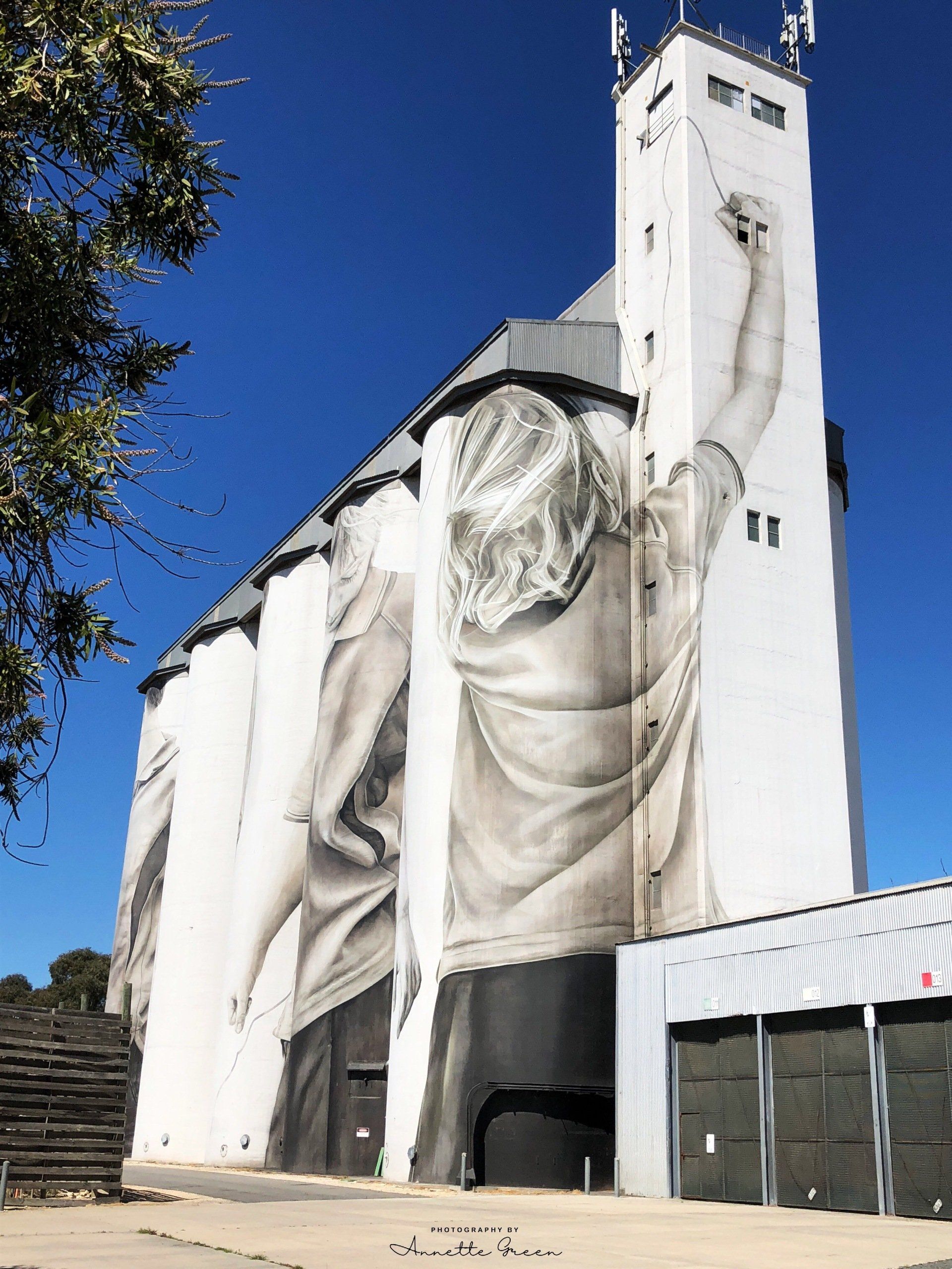 Coonalpyn Silo Art, Australian Silo Art Trail, Guido van Helten