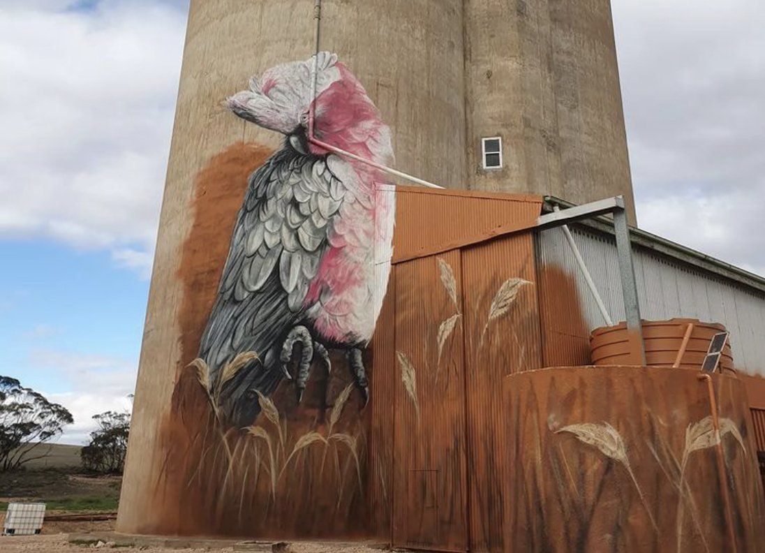 South Australian Silo Art Locations