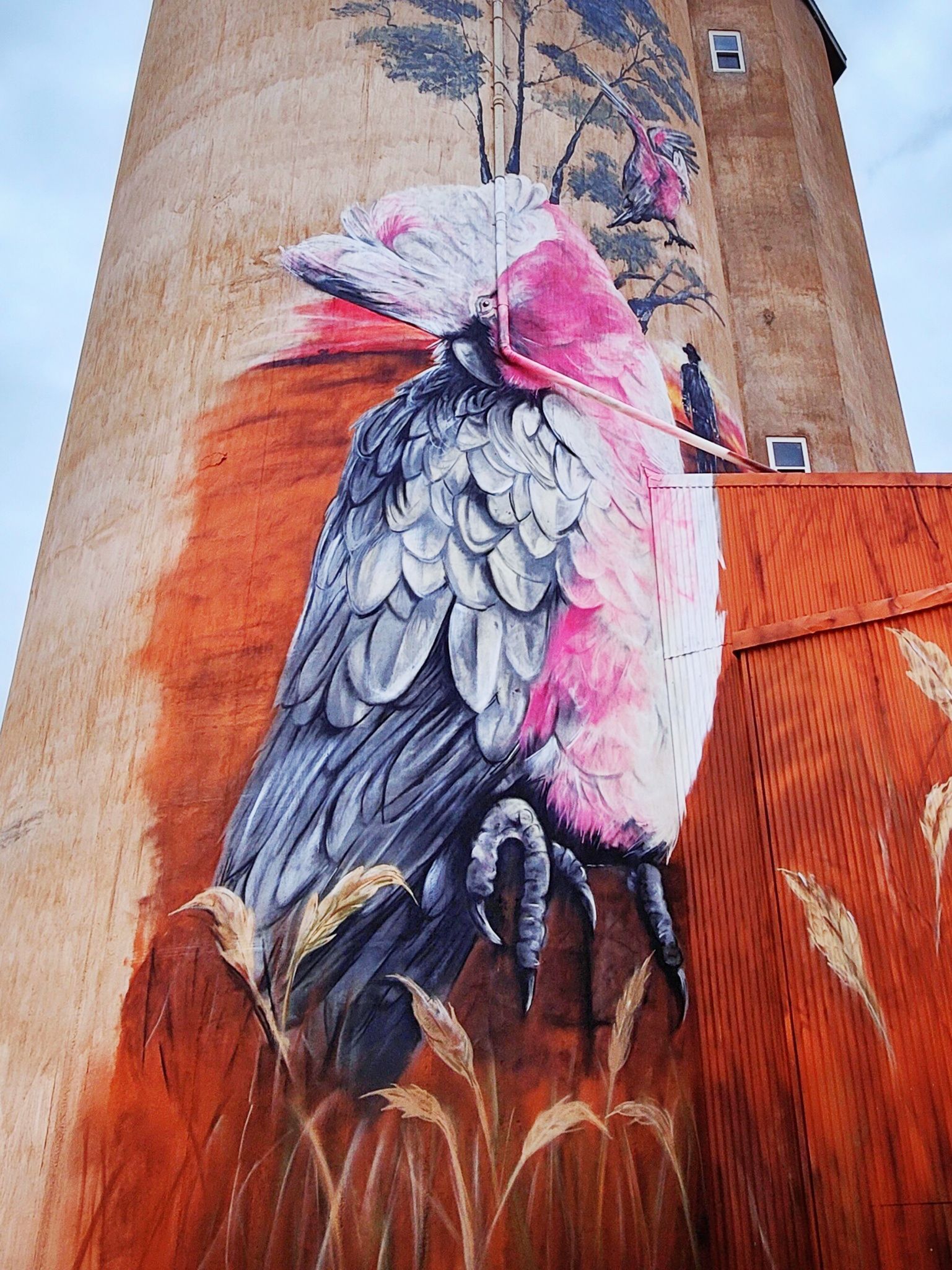 Copeville Silo Art, Australian Silo Art Trail