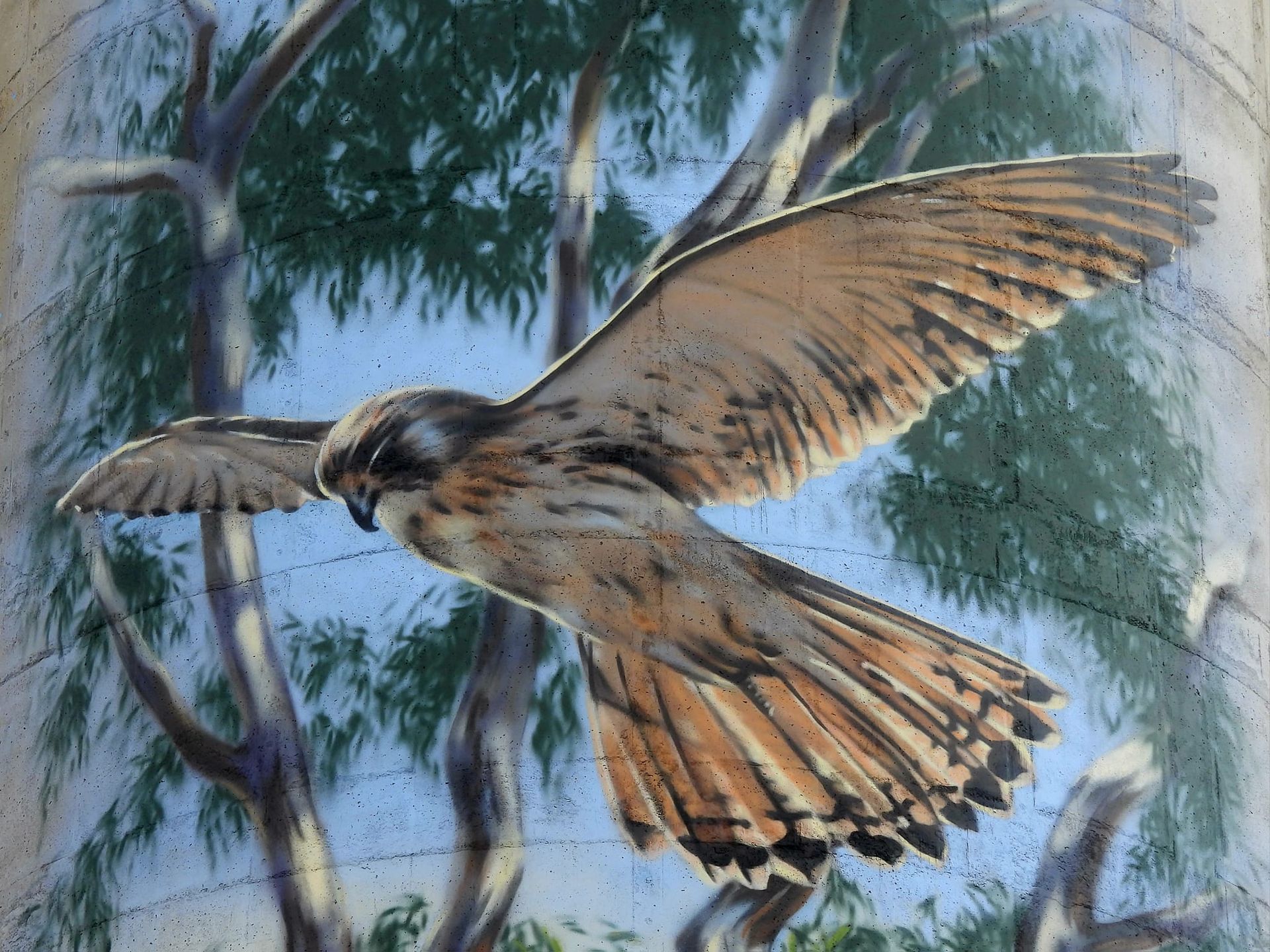 Cressy Water Tower Art, Australian Silo Art Trail, Tim Bowtell