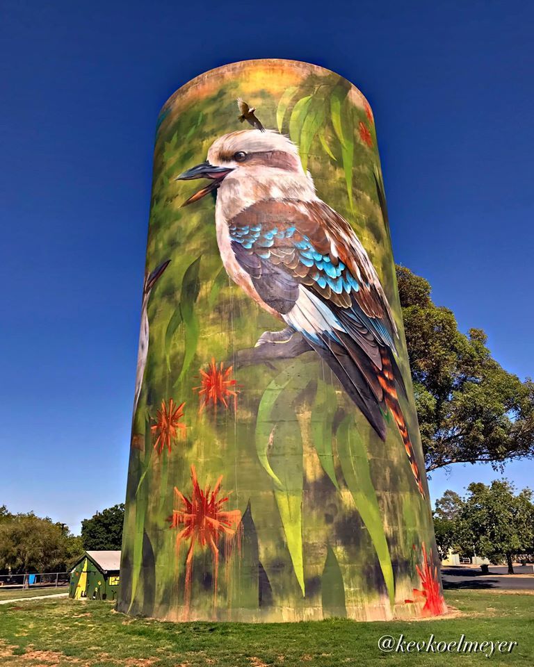 Australian Silo Art Trail, New South Water Water Tower Art,  Deniliquin Water Tower Art