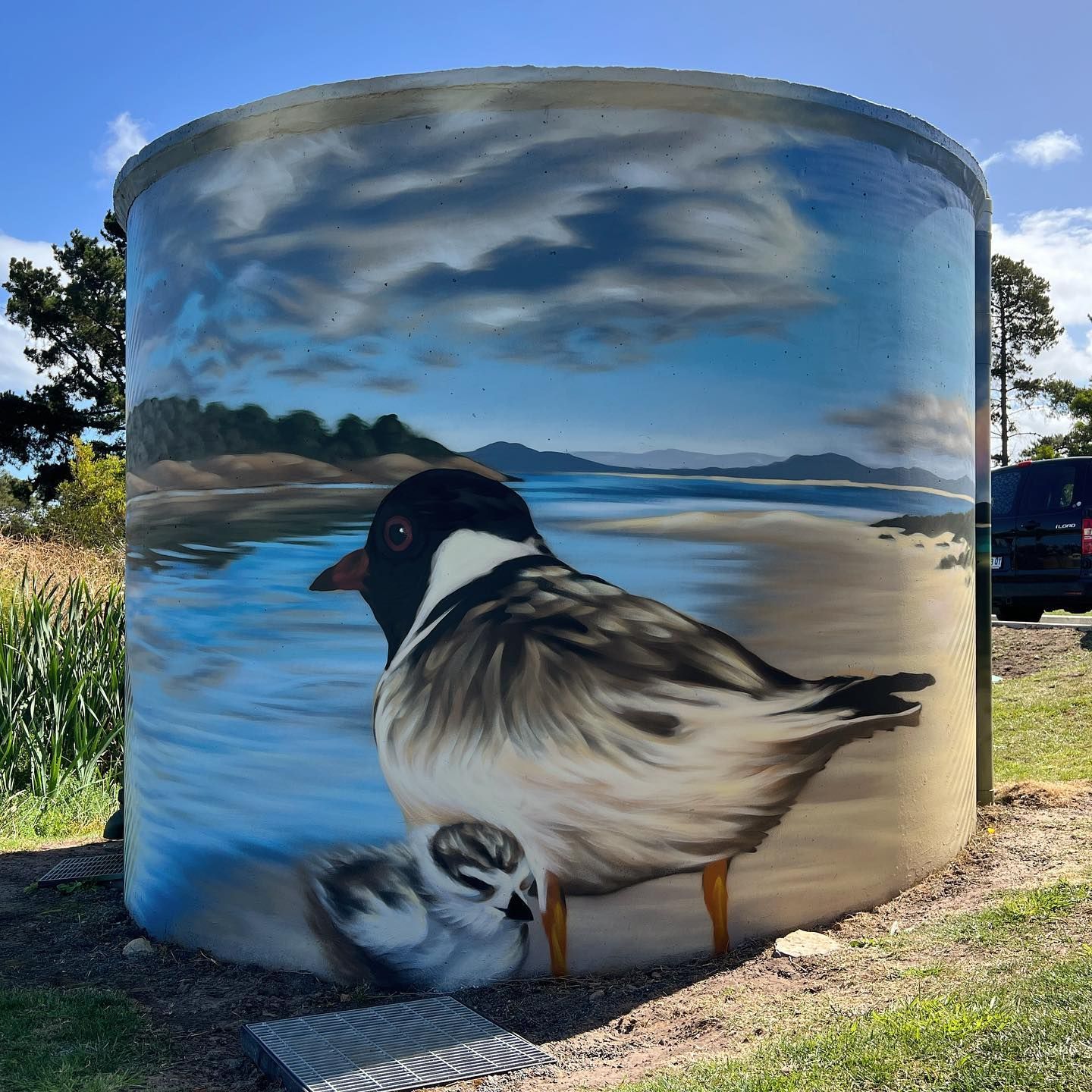 Australian Silo Art Trail, Silo Art, Water Tower Art